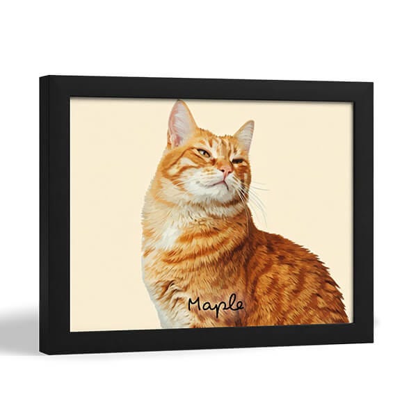 Framed Print